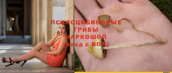 а пвп мука Баксан