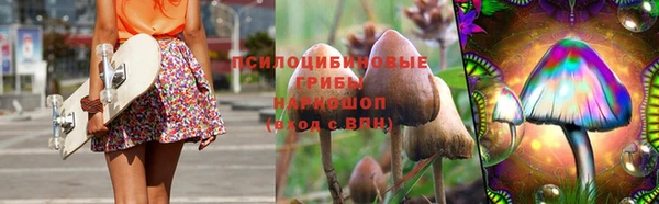 ешки Балахна